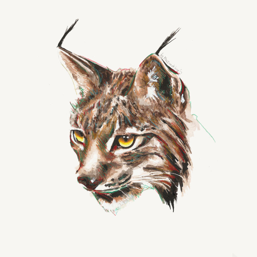 Lynx (study) -1