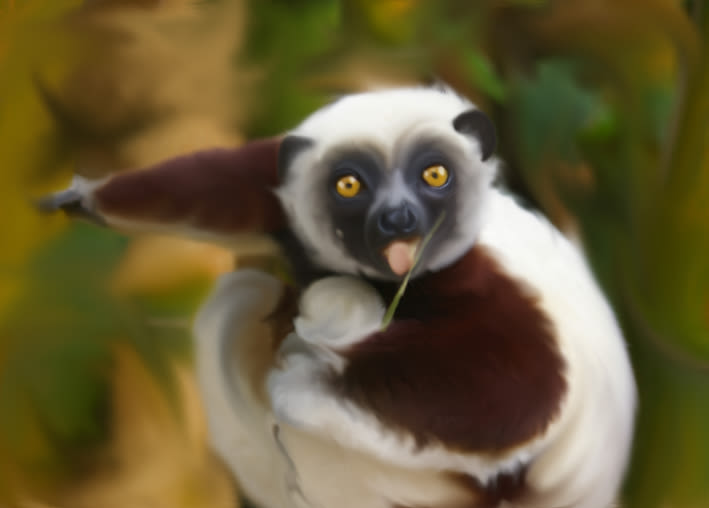 lemur -1