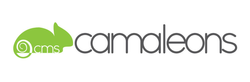 Rediseño logo y web CMS Camaleons 0