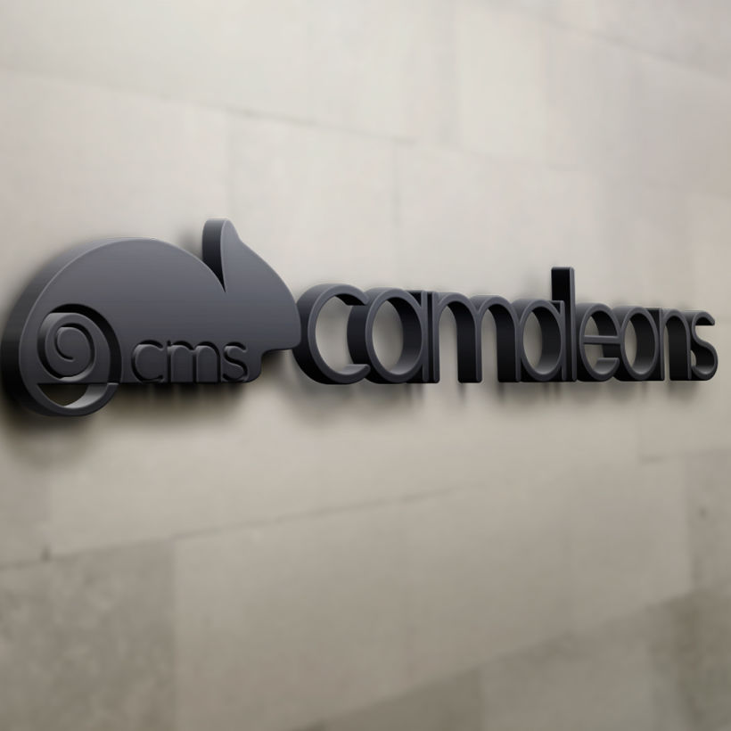 Rediseño logo y web CMS Camaleons 1
