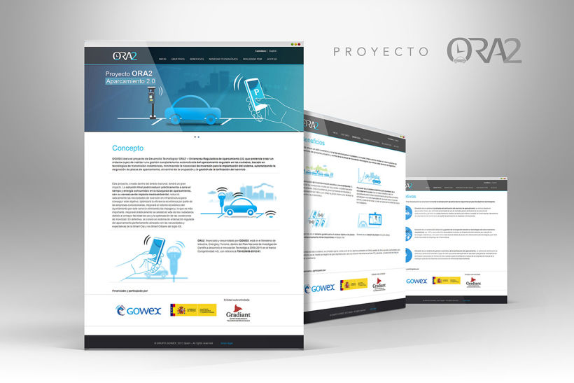 Web Proyectos I+D GOWEX 5