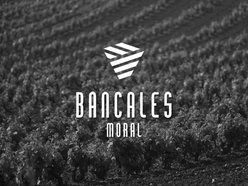 Bancales Moral, etiqueta para el vino de la Bodega Roandi 1