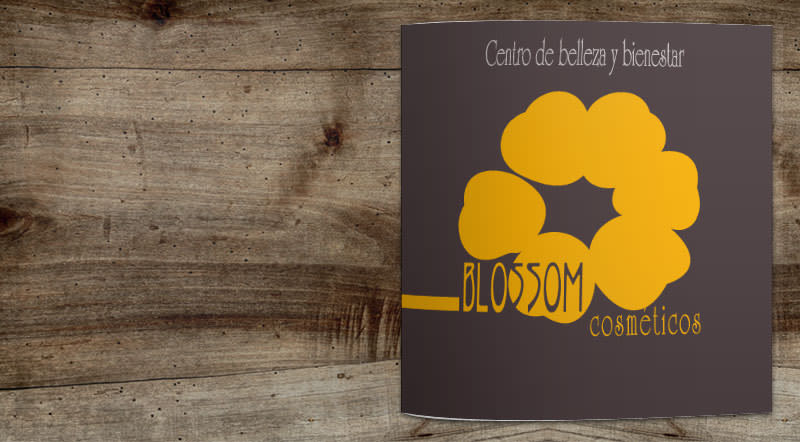 Catálogo Blossom cosméticos 1