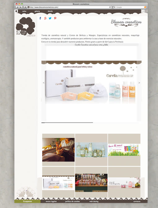web y tienda on-line para Blossom cosméticos 1