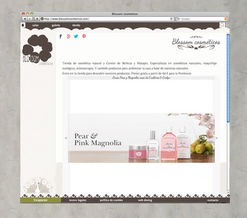 web y tienda on-line para Blossom cosméticos 0