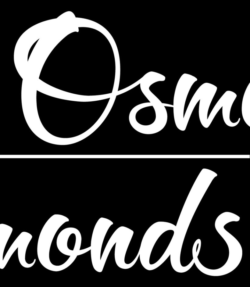 The Osmonds 6