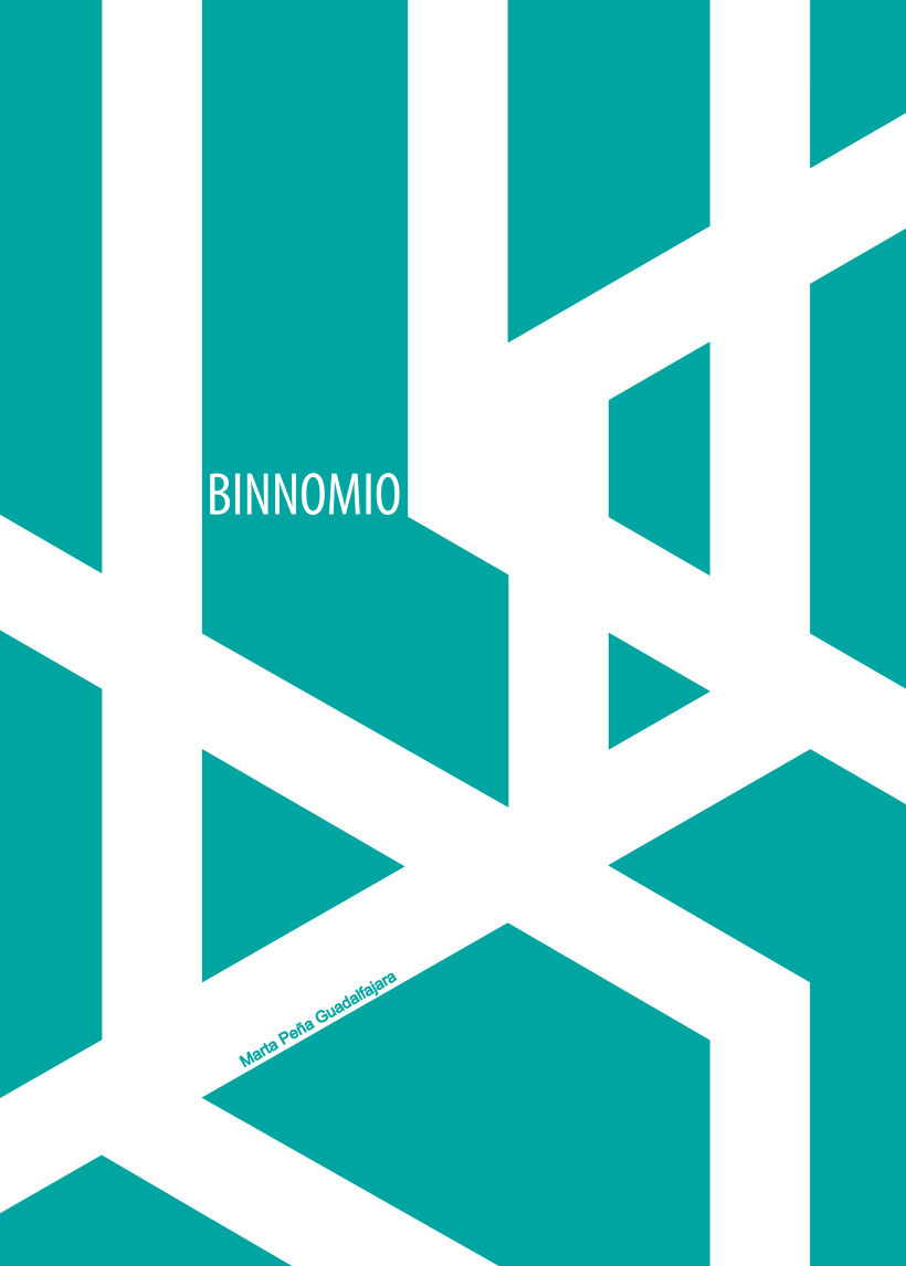 BINNOMIO 1