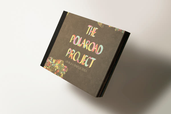 The Polaroad Project Non-Profit 2