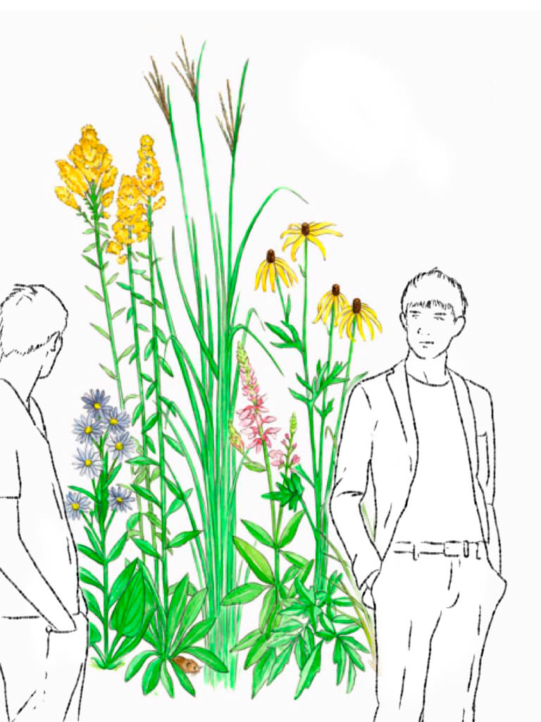 Drawings: Guys and flowers 2