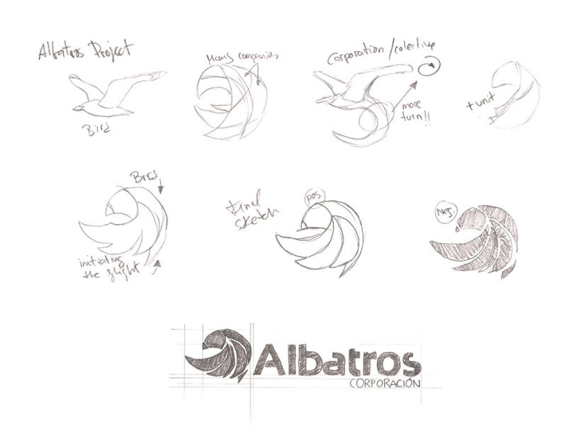 Albatros 0