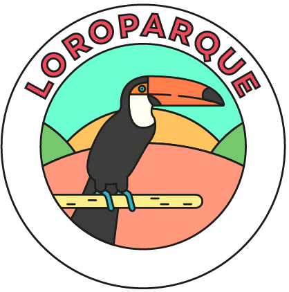 Loroparque 3
