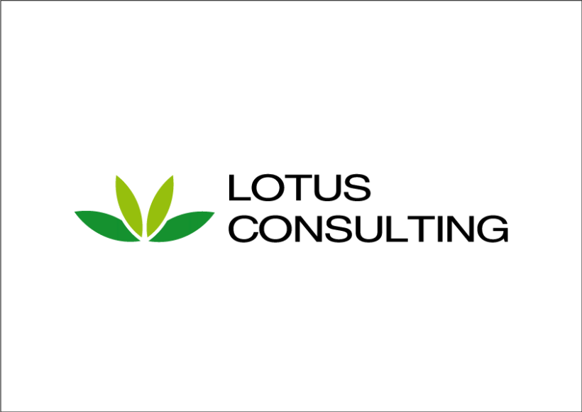 Imagen Corporativa Lotus Consulting 3