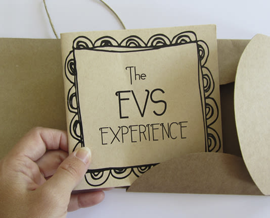 The EVS experience 0