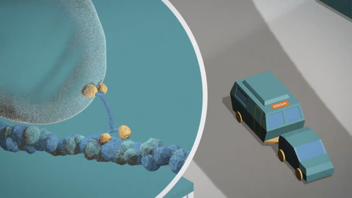 Cellular Ageing animation 7