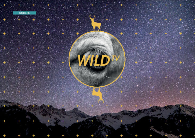 Wild TV 3