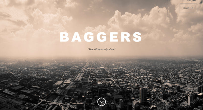 Web Design - Baggers 0