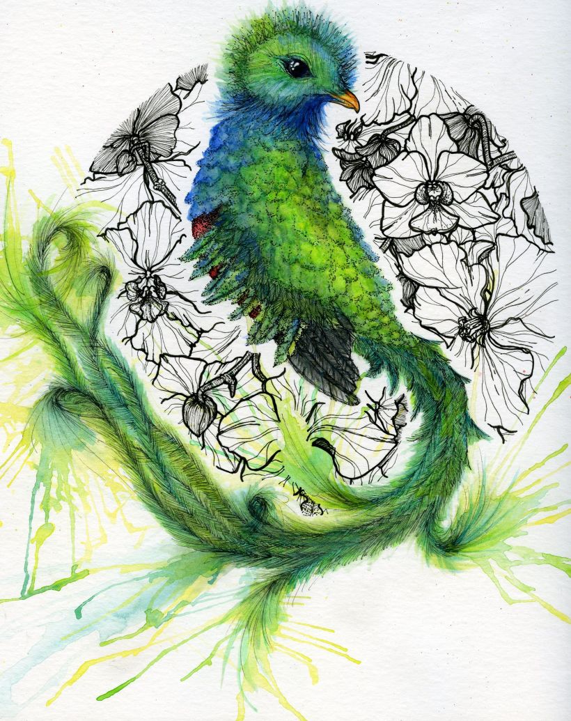 Quetzal 9