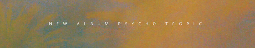 CEREMONEY - Psycho Tropic (Jarana Records 2013) LP 2
