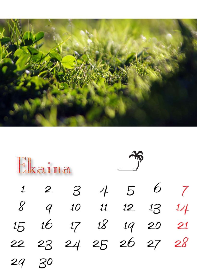 Calendario 2015 6