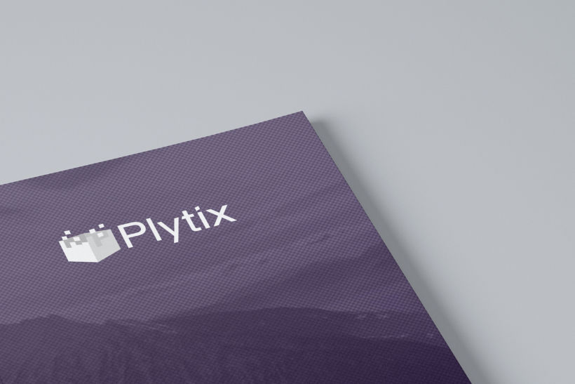 Plytix | Business Plan 1