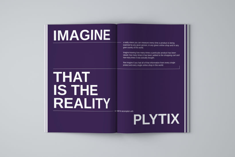 Plytix | Business Plan 3