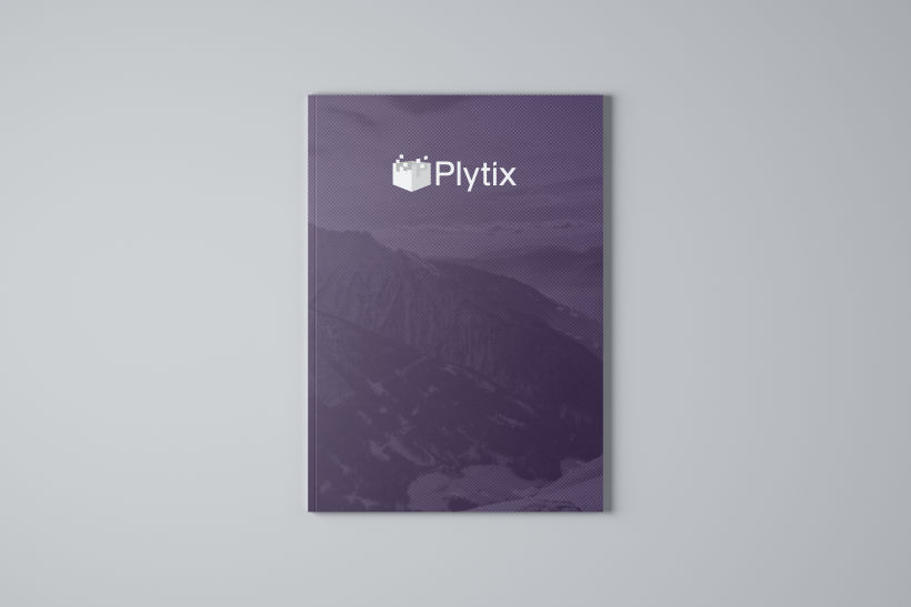 Plytix | Business Plan 0