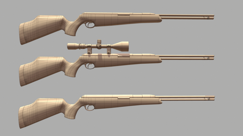 Carbine 22 (Hunt Rifle) 5
