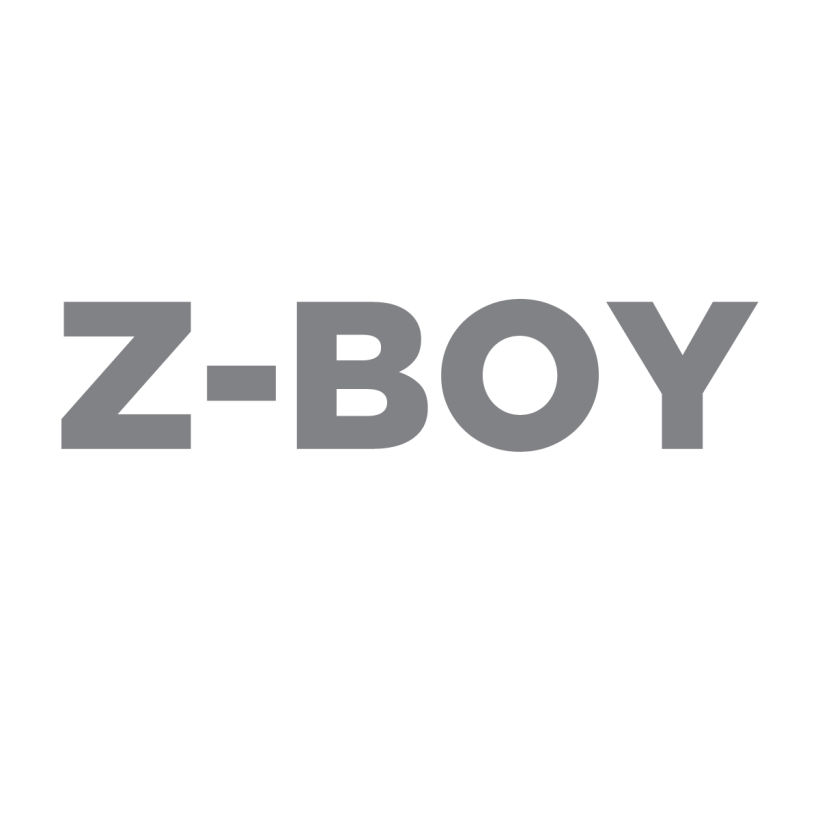 Z-Boy 0