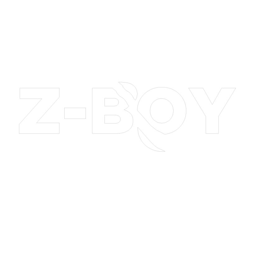 Z-Boy 1