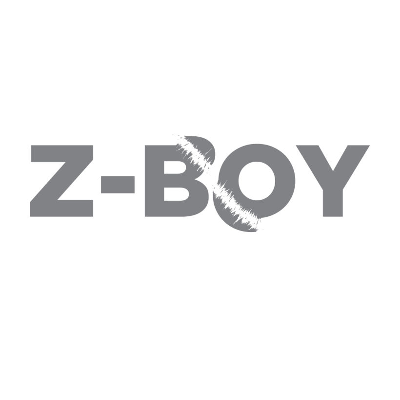 Z-Boy 4