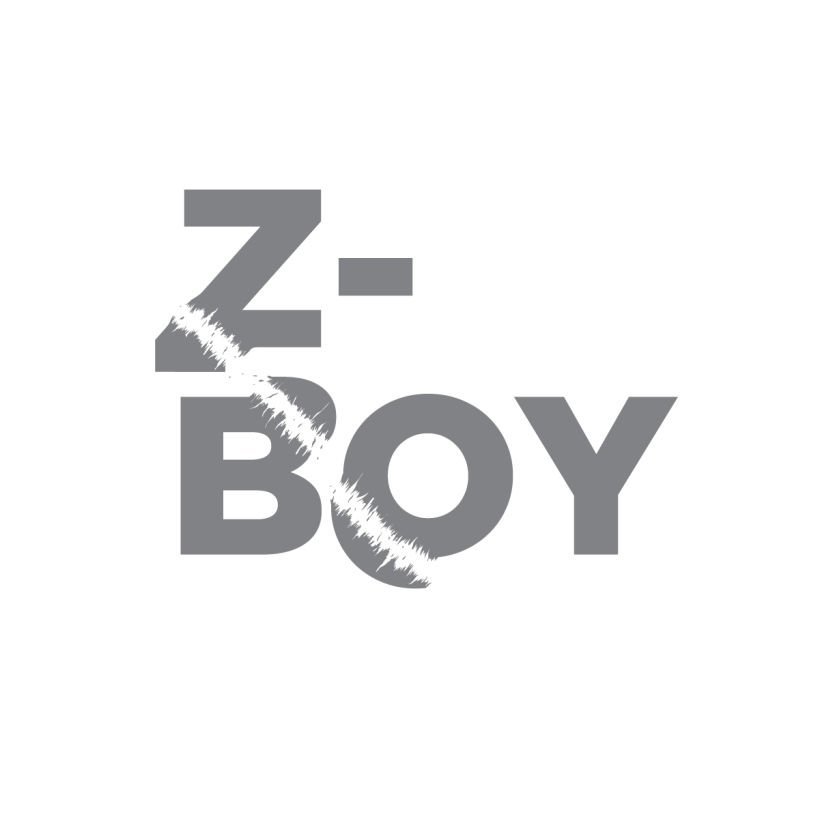 Z-Boy 6
