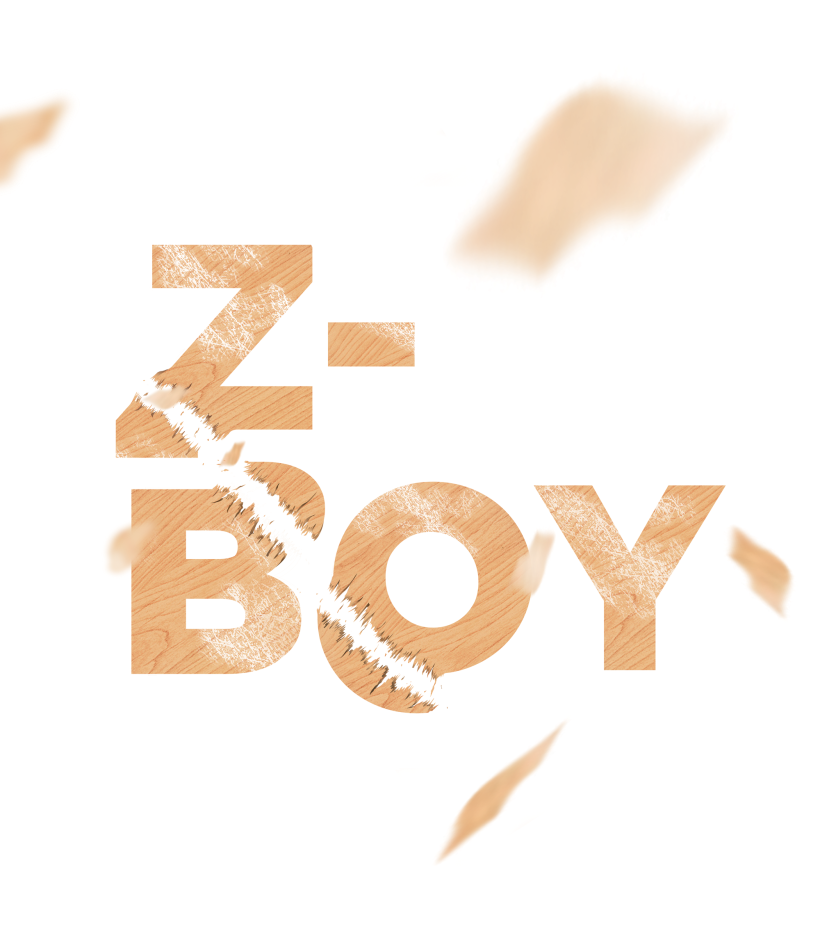 Z-Boy 11