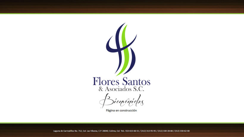 Flores Santos & Asociados 4