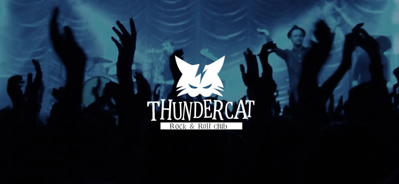 Thundercat 1