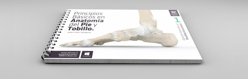 "Principios Básicos en Anatomía del Pie y Tobillo". 0
