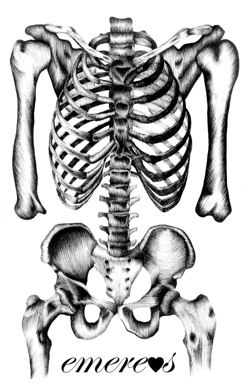 Anatomía 1