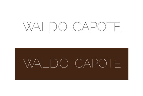 Waldo Capote · Imagen corporativa 2