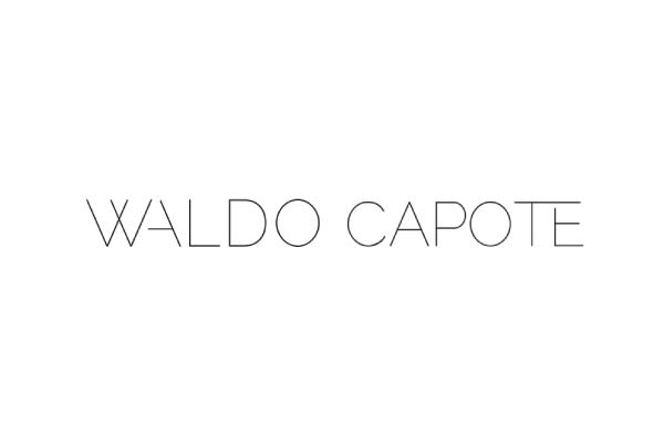 Waldo Capote · Imagen corporativa 0