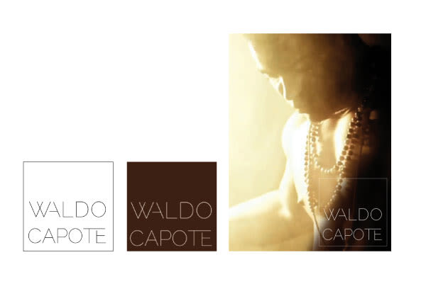 Waldo Capote · Imagen corporativa 3