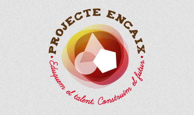 Projecte Encaix -1