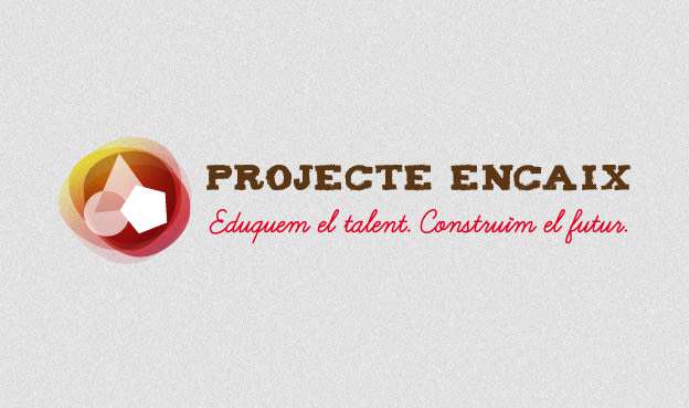 Projecte Encaix 1