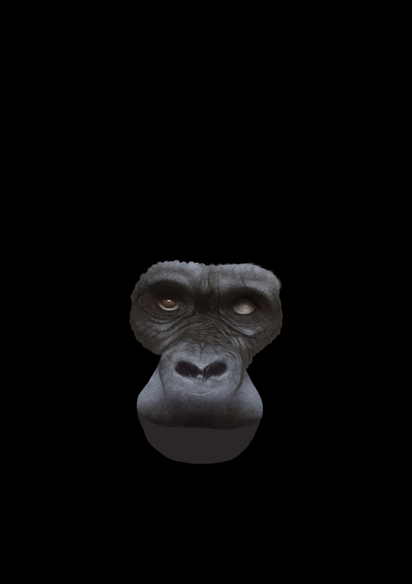 Gorila 11