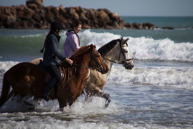 Reportaje - en caballo por la playa 6