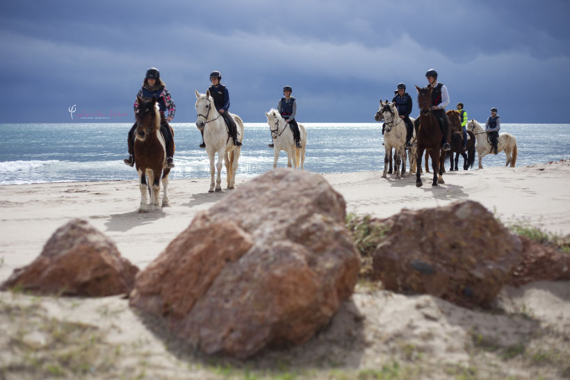 Reportaje - en caballo por la playa 9