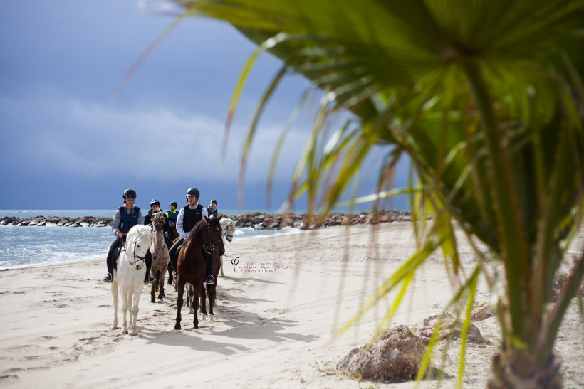 Reportaje - en caballo por la playa 5