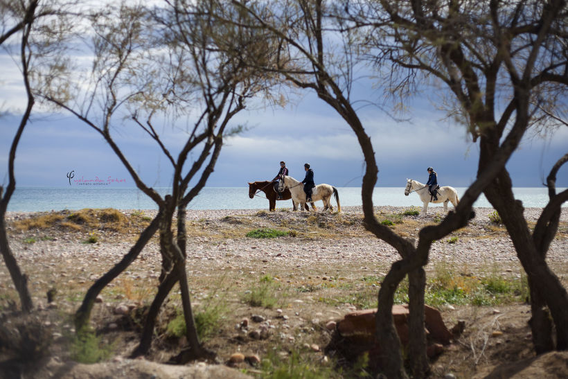 Reportaje - en caballo por la playa 12