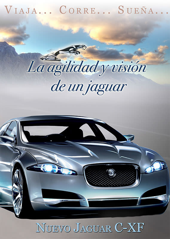 Carteleria de coche Jaguar 2