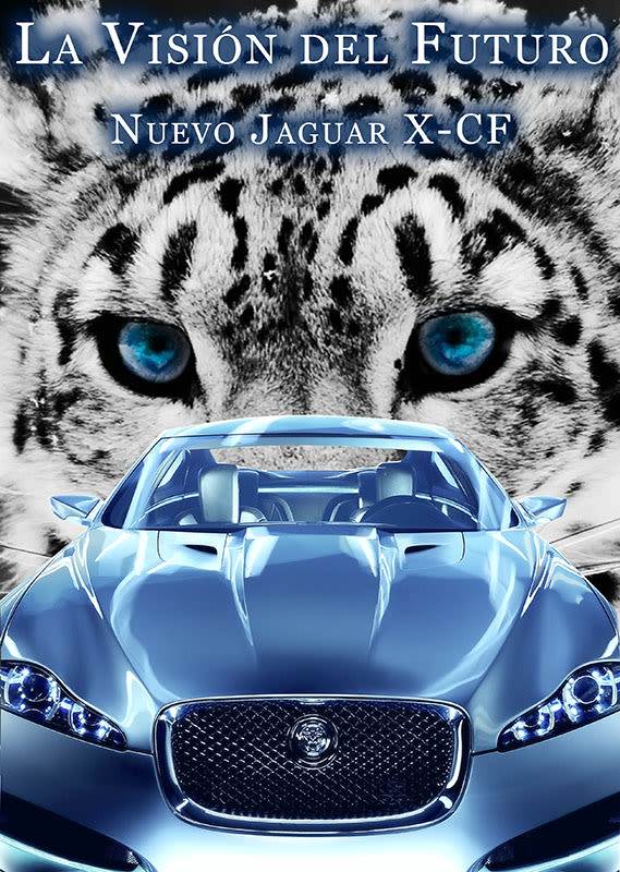Carteleria de coche Jaguar 6