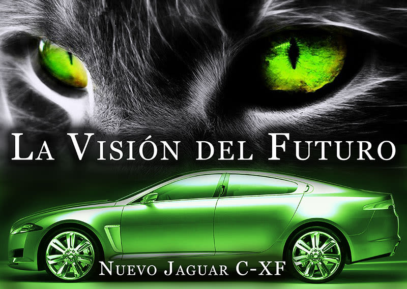Carteleria de coche Jaguar 7