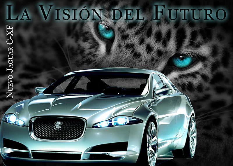 Carteleria de coche Jaguar 8
